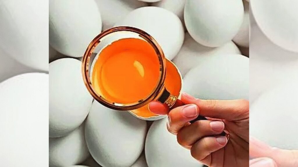 Swiggy Instamart Notices: Rotten eggs, spoiled parathas: Swiggy gets 9 notices from FSSAI | India News