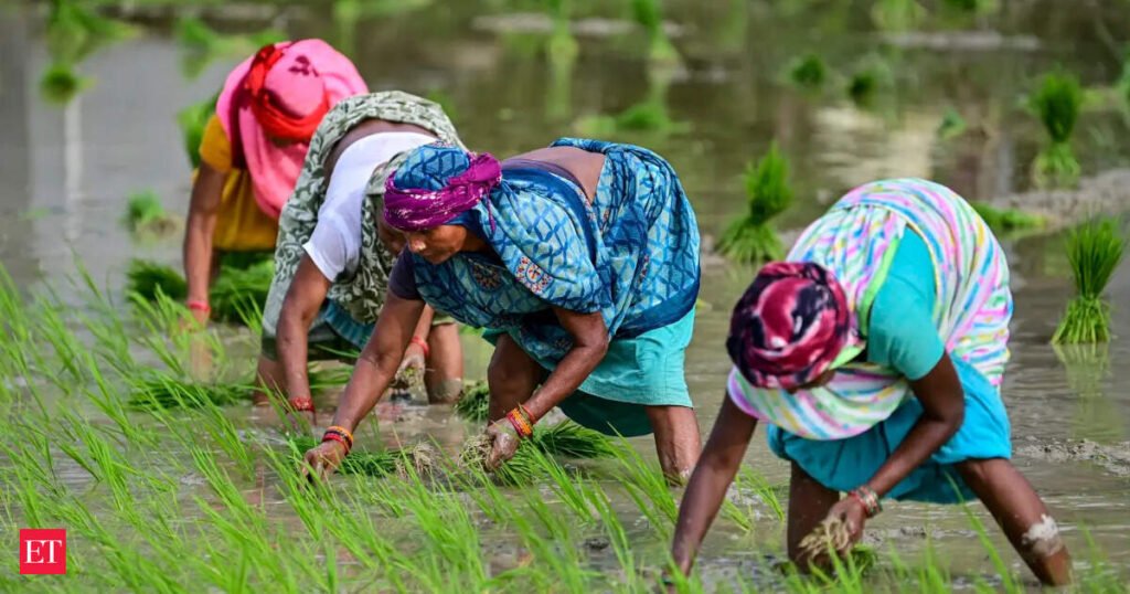 Skill shortage could derail India’s bio-input ambitions: Agriculture Commissioner