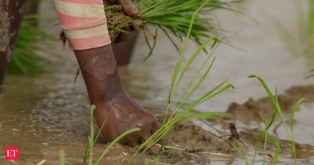 ICAR to cap rice, wheat area under crop diversification plan; forms 52 task teams for 2047 roadmap