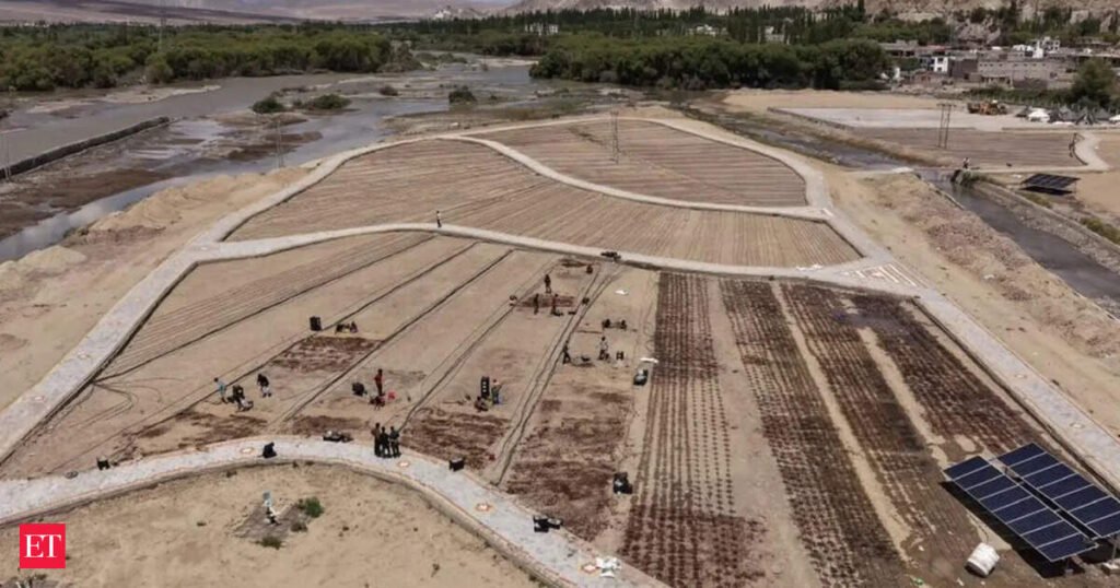 Development of India’s highest commercial Lilium cultivation field starts in Ladakh