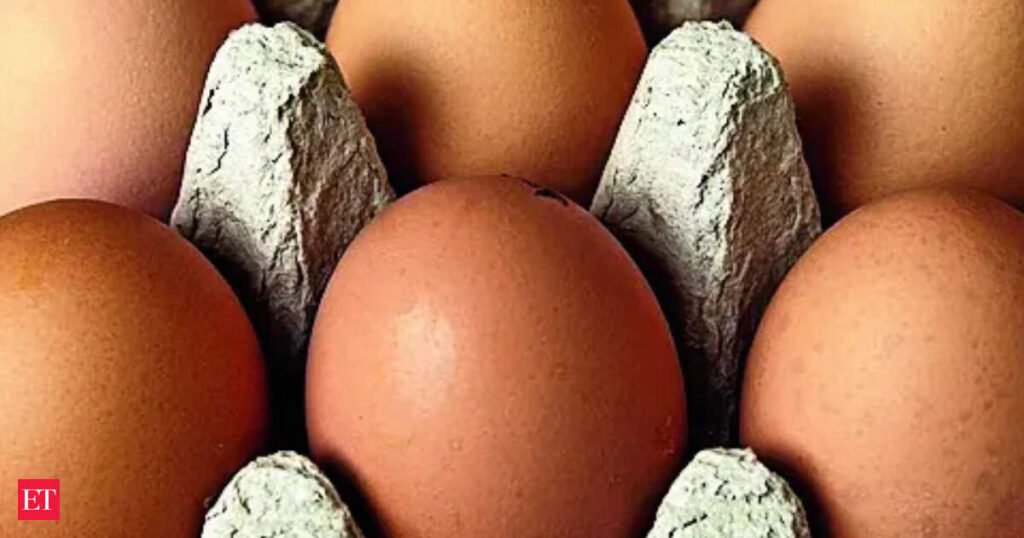 Egg prices soar in India as maize, soybean costs push up poultry expenses