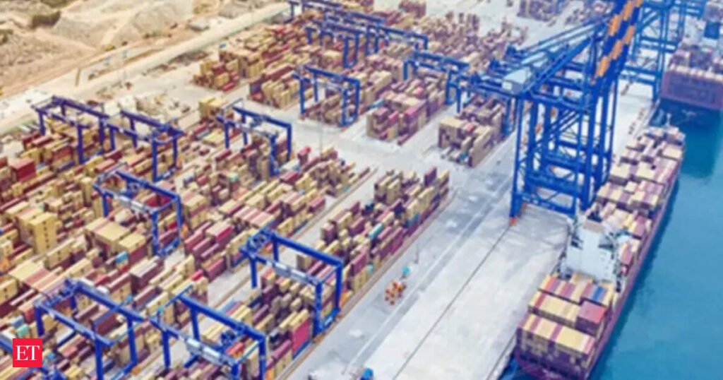 Vizhinjam port to begin full EXIM operations from August 18