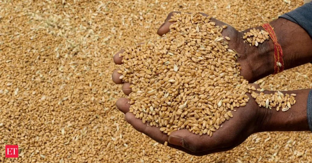 Global wheat rally revives India’s export prospects as government allows 5 million tonnes of wheat exports after a four-year ban