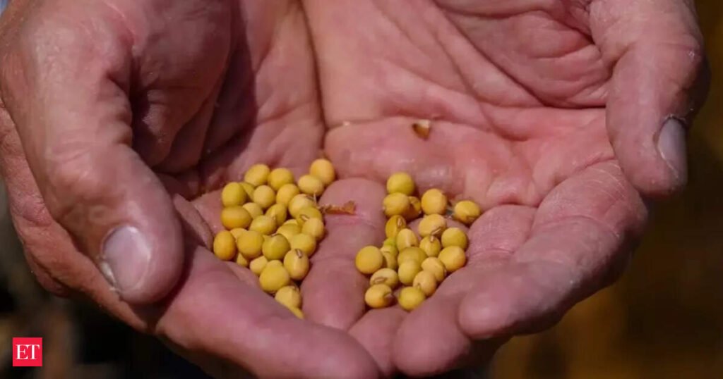 US NSF backs India-US AI project to boost soybean breeding