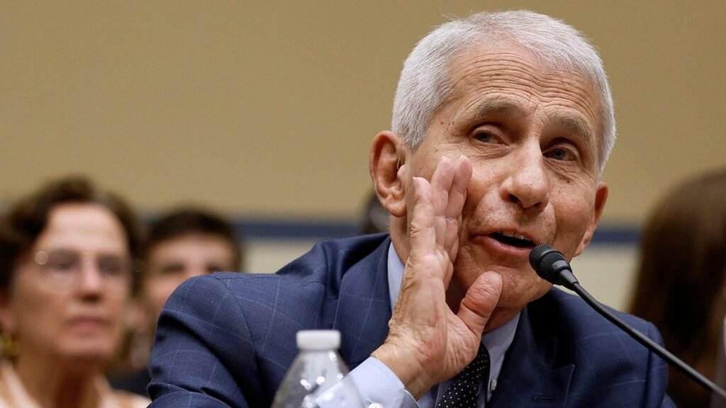 Fauci Senate hearing fuels push for a COVID lockdowns museum in DC