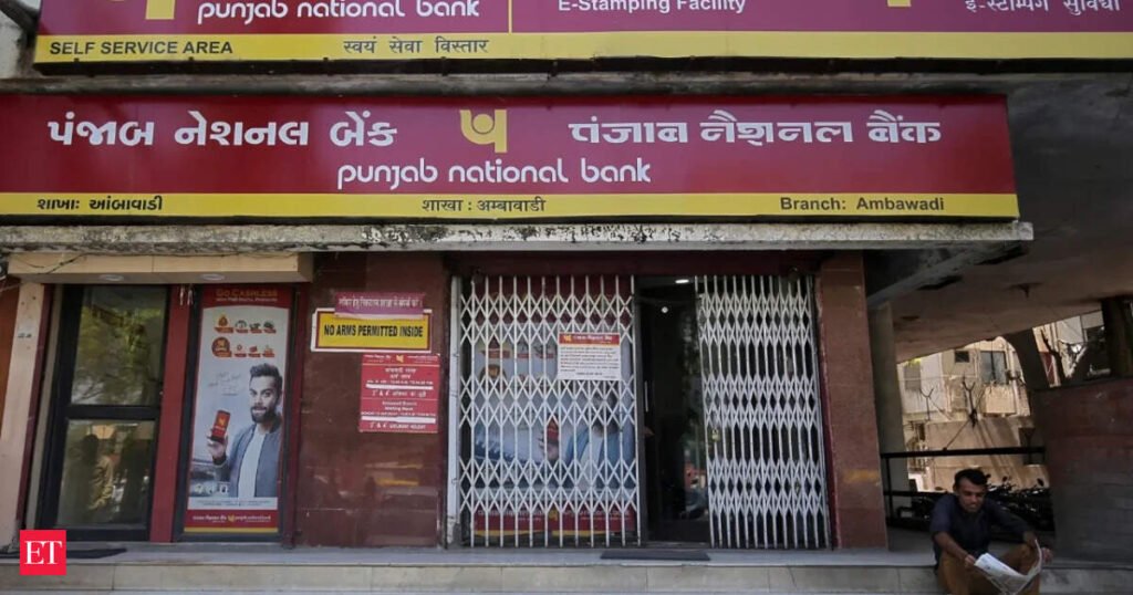 PNB raising $1 billion for FCNR on-lending