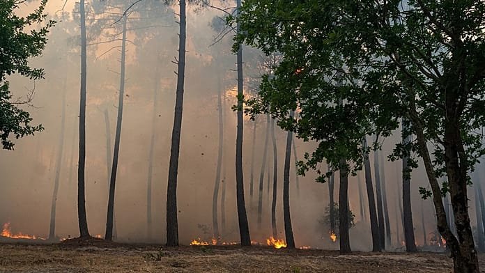 Evacuations ordered in Bordeaux suburbs as wildfires continue to ravage southern Europe