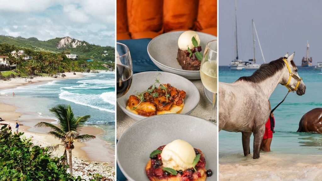 The Best Things to Do in Barbados, and Where to Stay and Eat While You’re There