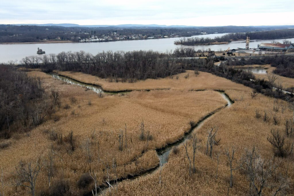 A Court Ruling Leaves Some of New York’s Most Important Wetlands Unprotected