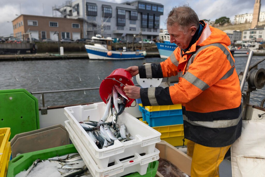 Europe Opens a New Front in the Mackerel Wars
