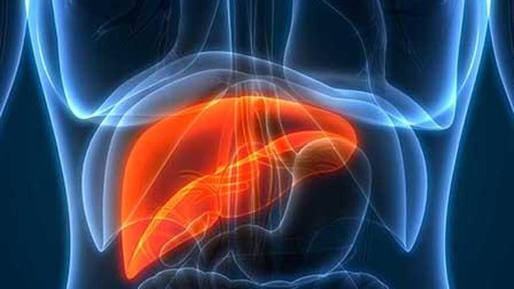 What your ALT level can reveal about liver health