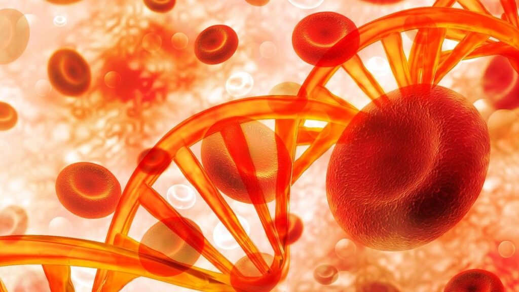 Decoding the link between autoimmune diseases and blood cancers