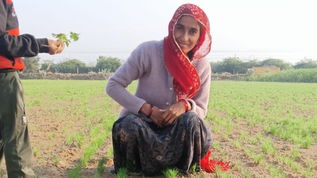 Rajasthan farmers object to GI on Unjha jeera and saunf | India News