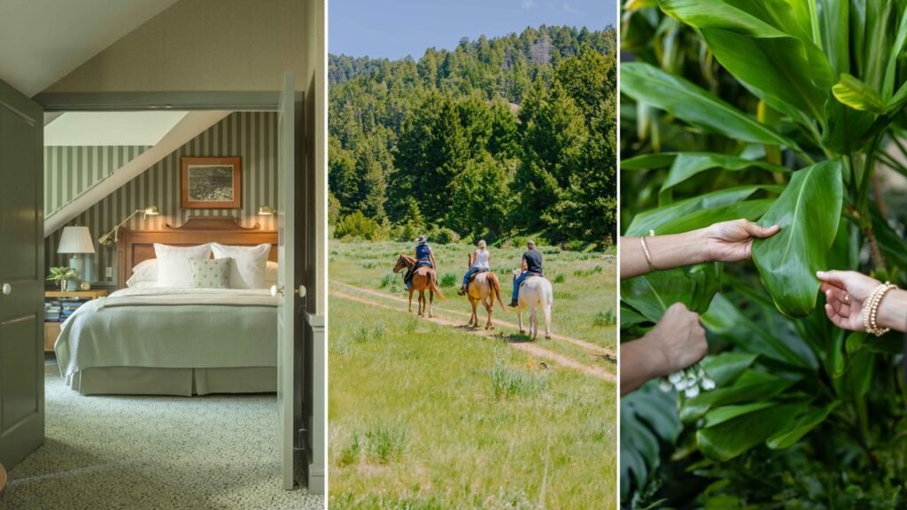 10 Hotels Helping Us Learn New Skills, From Jewelry-Making to Falconry