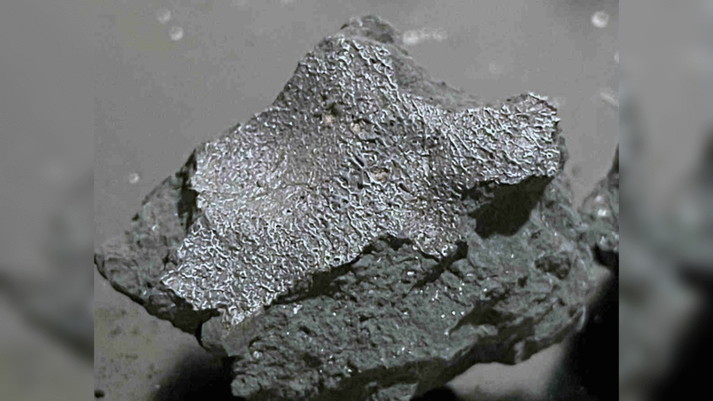 Meteorite that crashed through New Jersey house could hold the clues to life’s origins