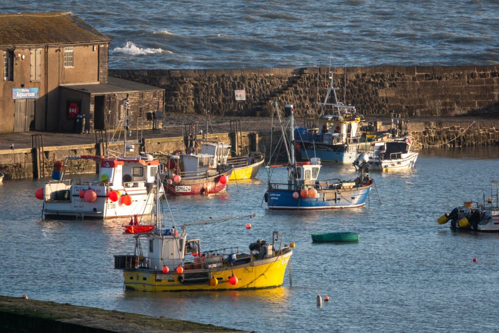 Despite Decades of Warnings, British Fish Stocks Are Collapsing