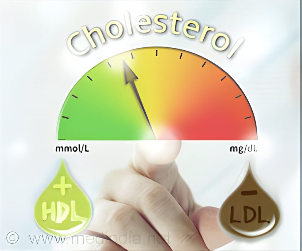 Why Do Nearly 9 in 10 Indian Adults Have Unhealthy Cholesterol Levels?