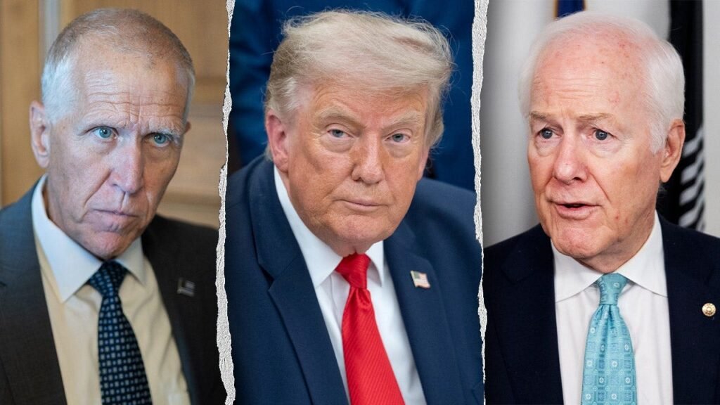 Cornyn and Tillis vow to block AG Blanche after confirming Garland