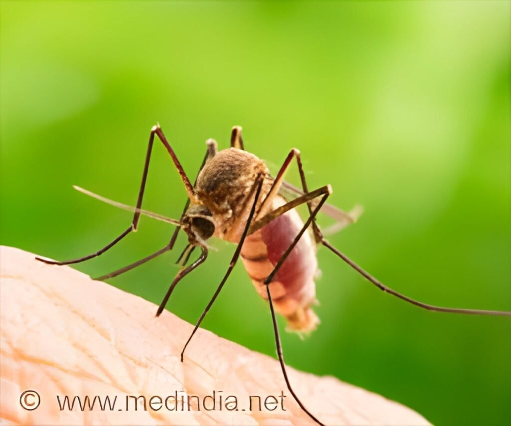 US, UK Warn Travelers Over Chikungunya, Yellow Fever
