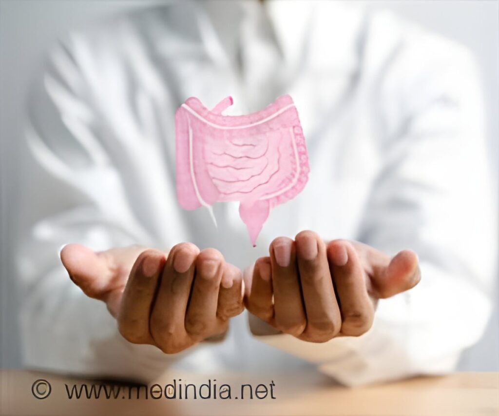 How Your Intestines Renew Themselves