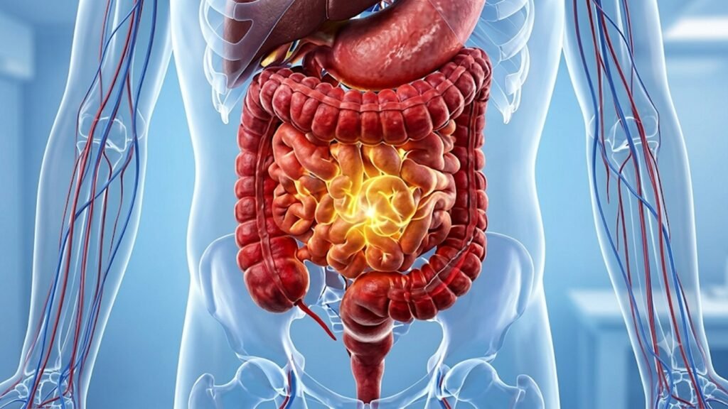 How the gut microbiome changes after 45 and why it matters for your health | Health News