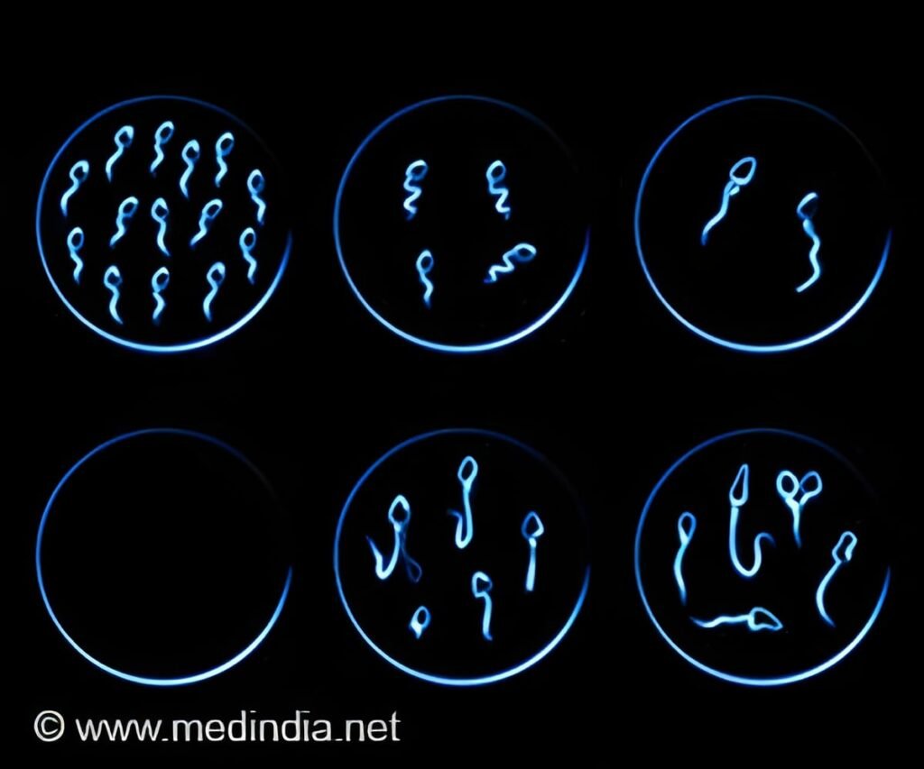 Link Between Air Pollution and Sperm Health Explored