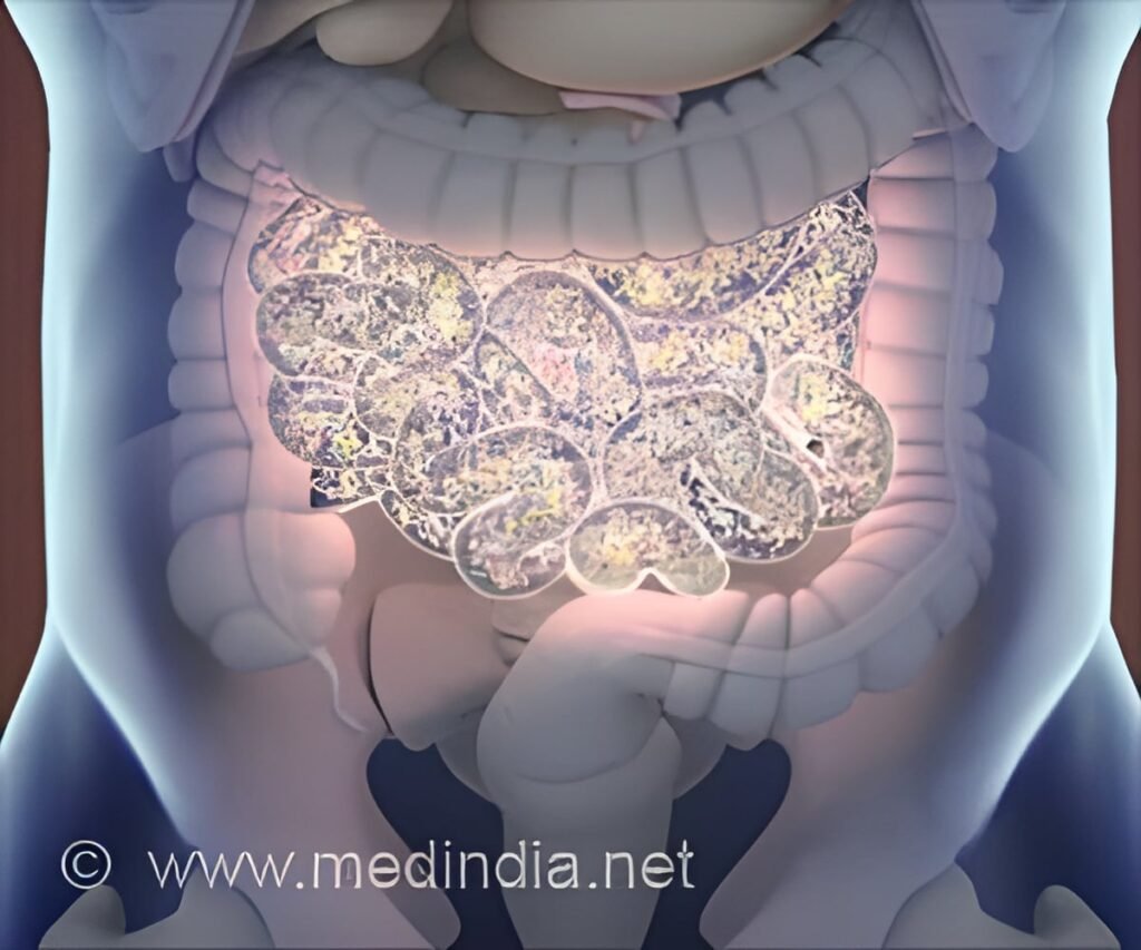 How Gut Bacteria Adapt to Roasted and Heated Foods