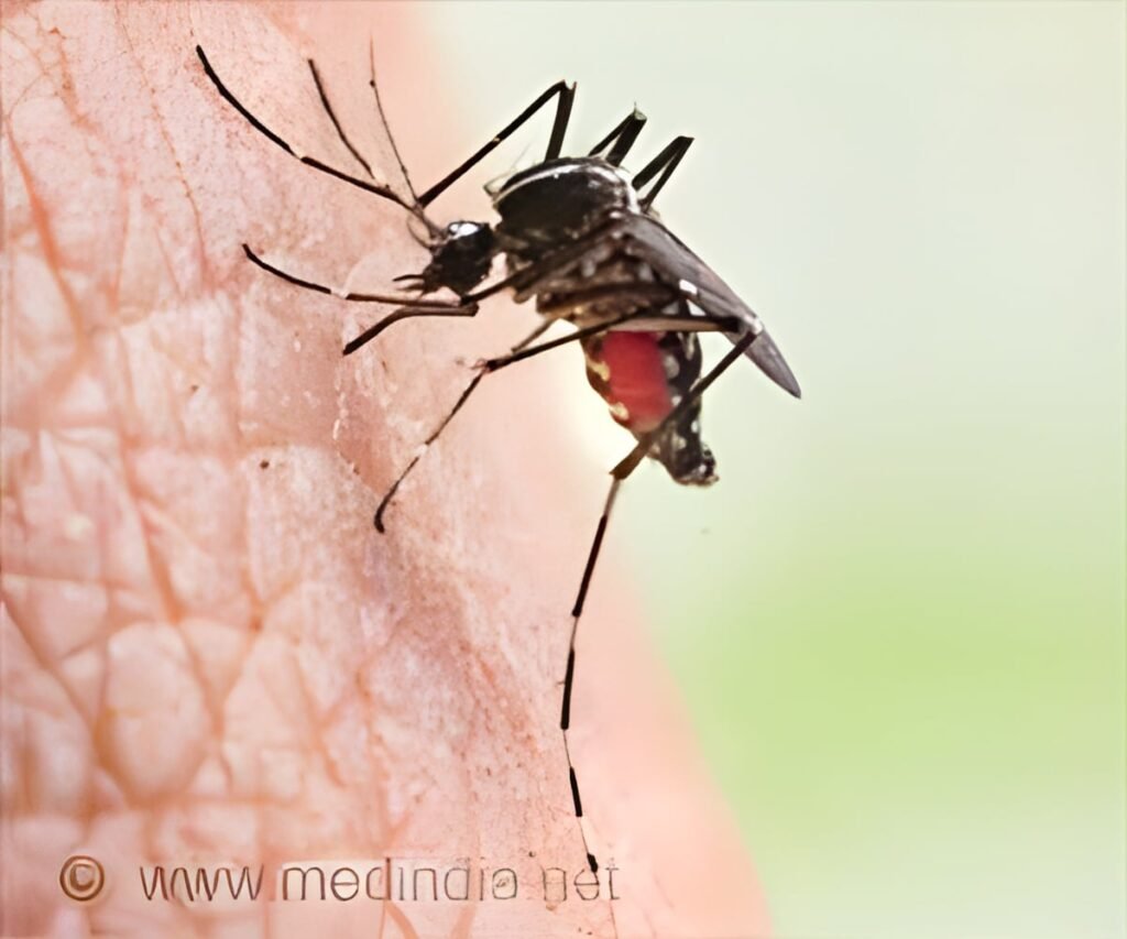 Malaria and Dengue Cases Rise in Ludhiana During Monsoon
