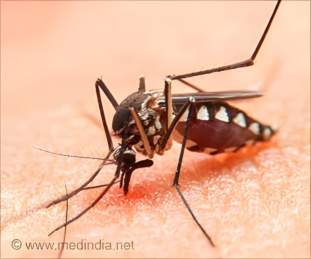 Why Does Diabetes Make Dengue More Dangerous?