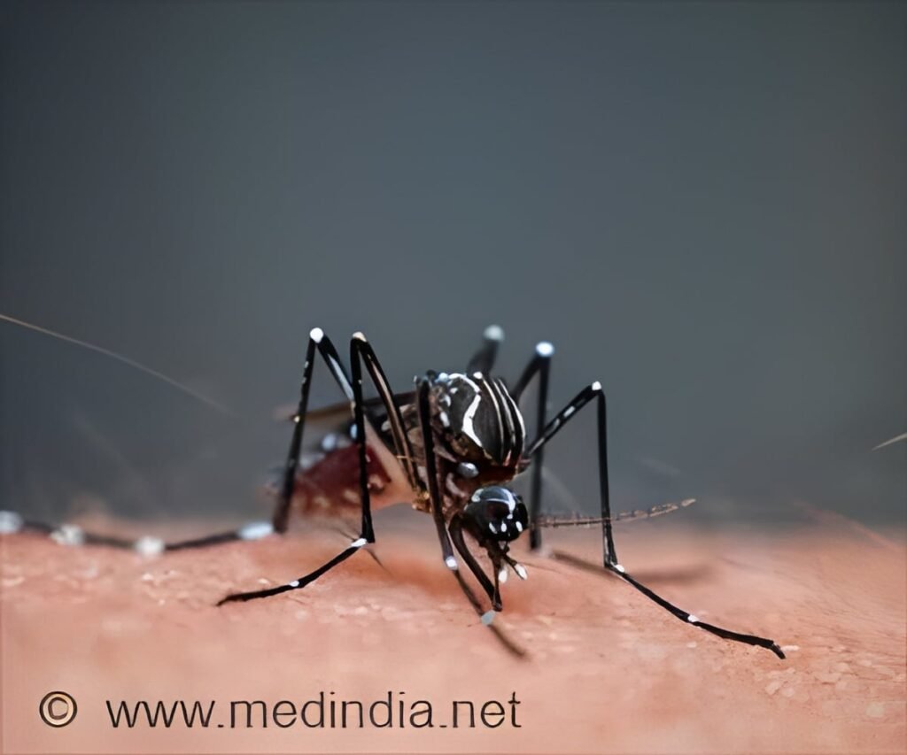 New Rapid Test Spots Mosquito-Borne Viruses at Ultralow Levels