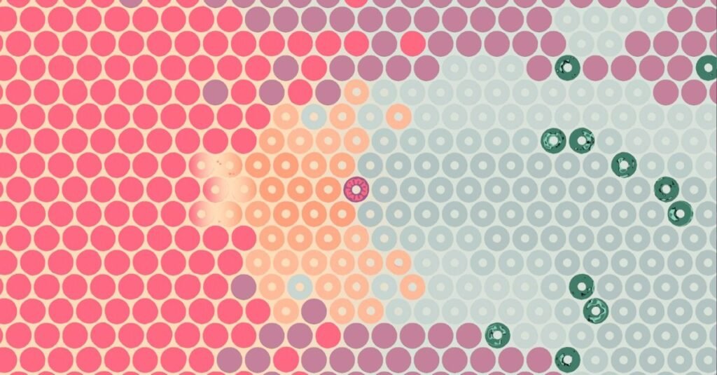 What Surrounds Us will make you think a lot about circles