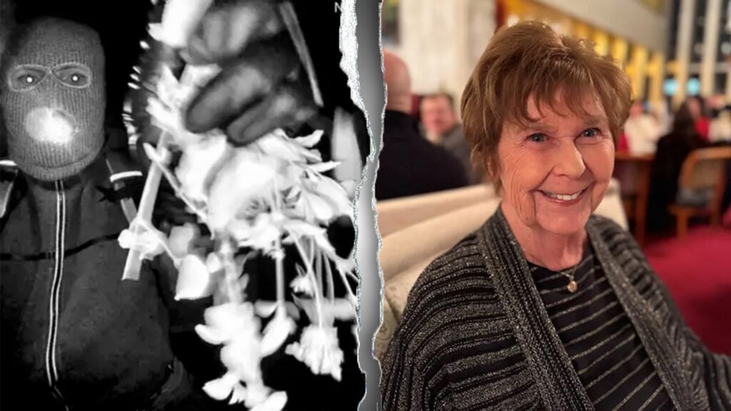 Nancy Guthrie scene hair sample DNA test yields no profile, sheriff says