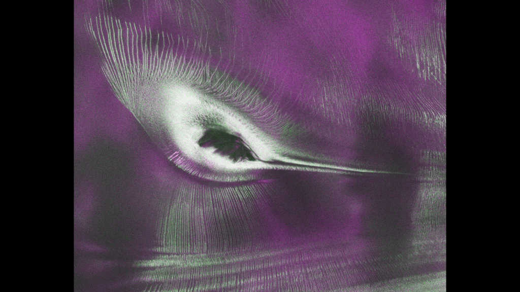 Satellite spots a ‘hummingbird’ in Antarctica photo of the day for July 23, 2026