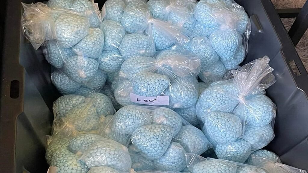 Alleged operator of major darknet drugs platform charged in Germany