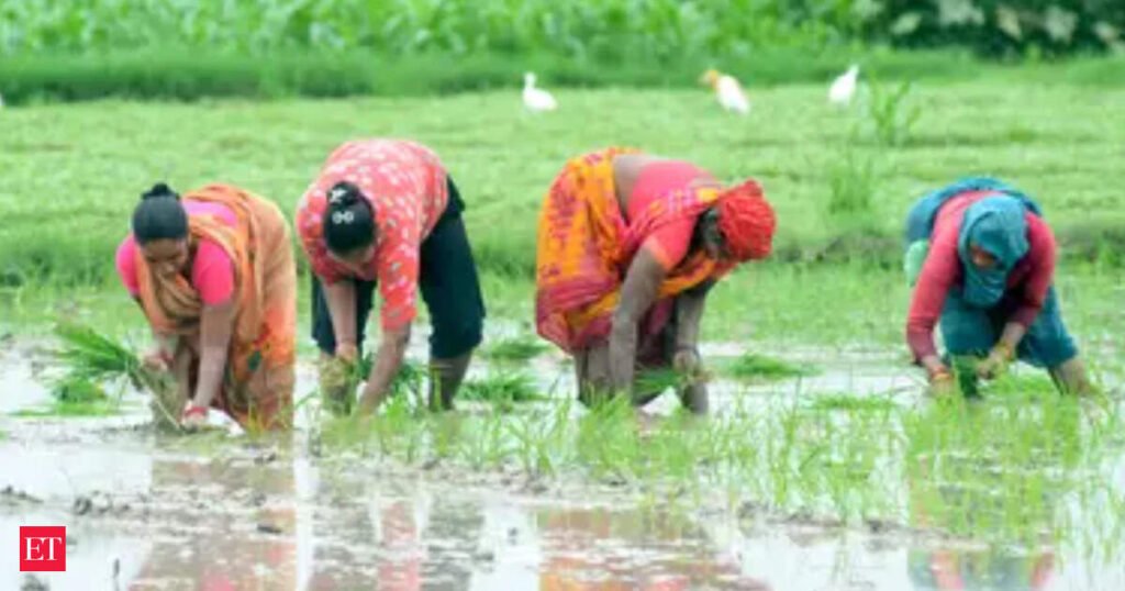 Kharif sowing dips 3% to 894 lakh ha despite 81% coverage of normal area