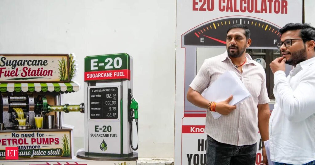 Punjab Assembly passes resolution against E20 fuel policy