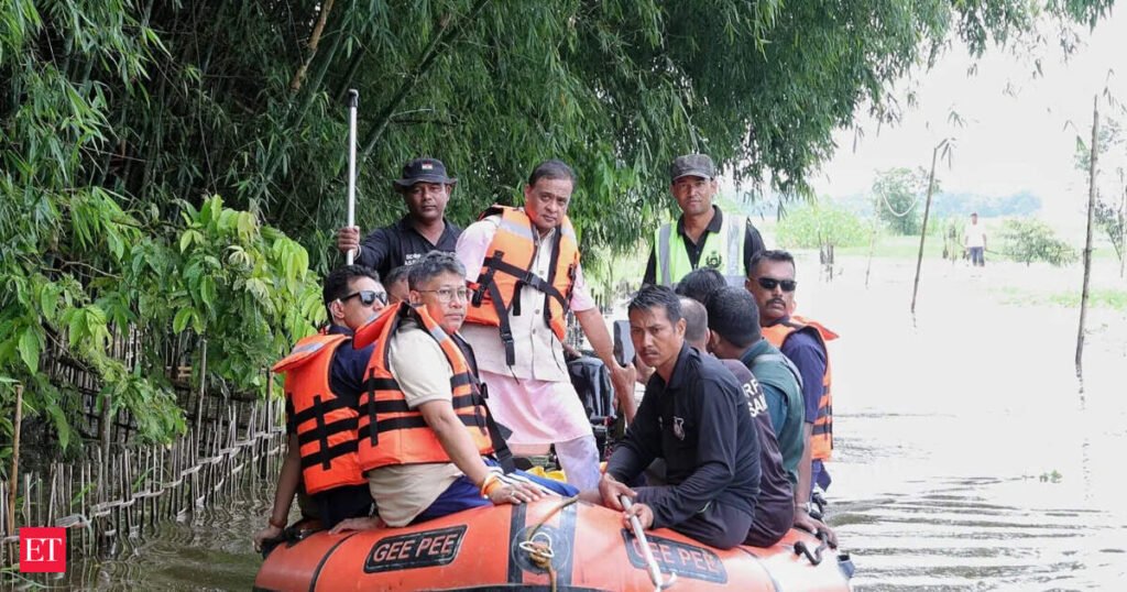 IRDAI asks insurers to fast-track Assam flood claims