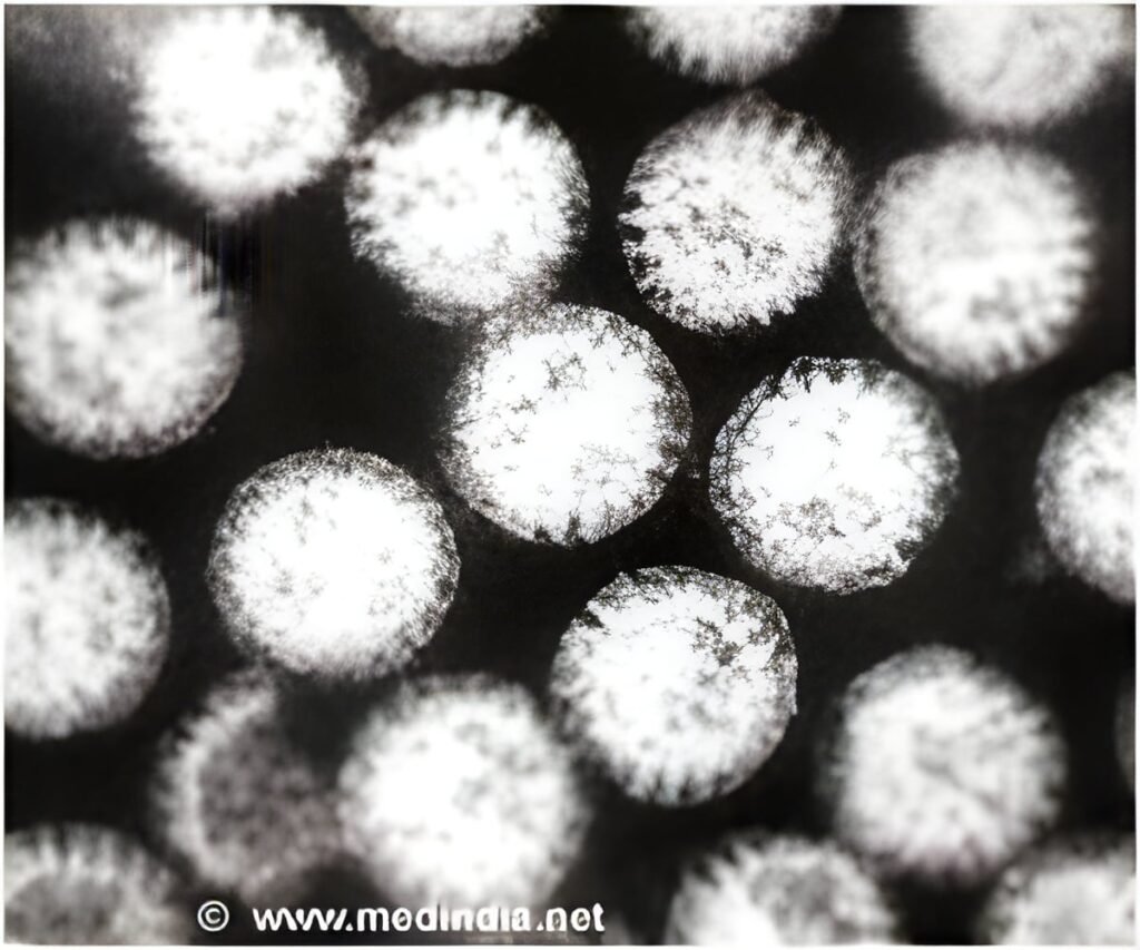 16 New Phages Show Promise Against Resistant Bacteria