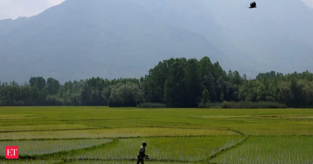 India’s cheap-urea model faces an expensive reckoning