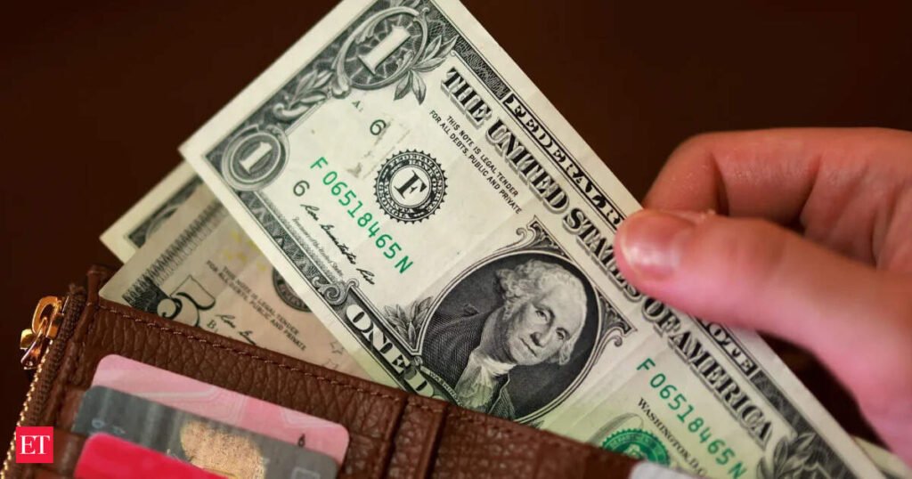 RBI’s great dollar haul: Where are the $73 billion going?