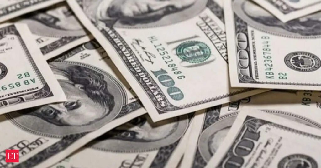 India raises $73 bn in forex inflows at record pace