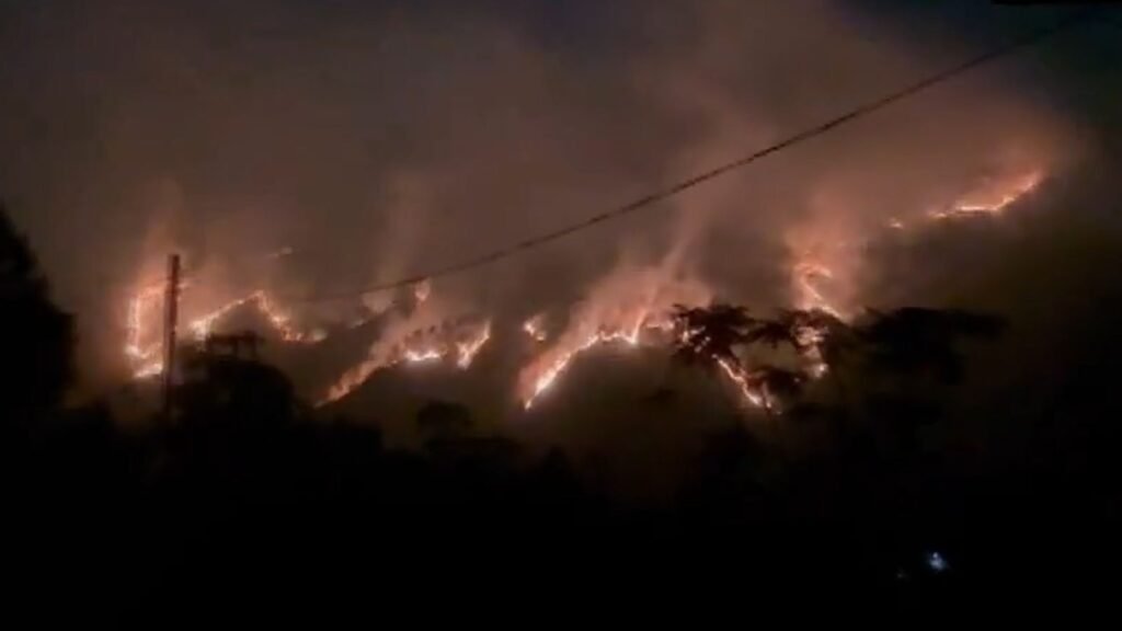 House panel calls for new satellite to monitor forest fires in Himalayan region | India News