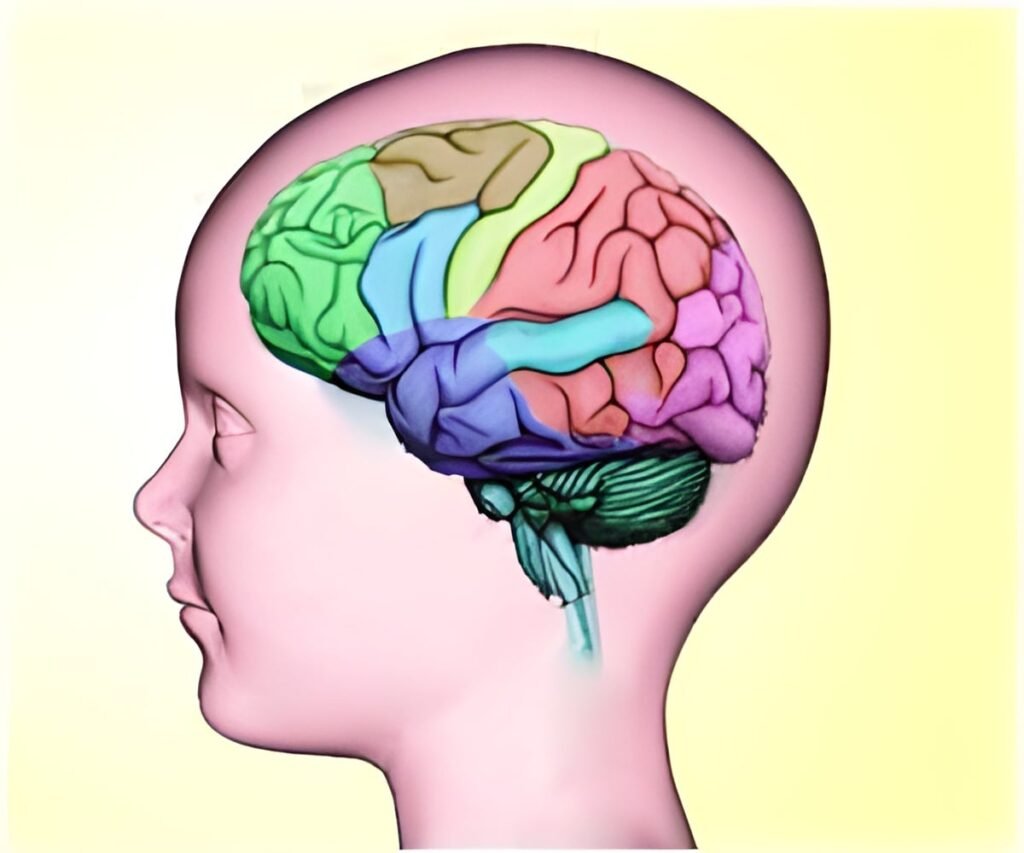 How Flashing Lights, Music, Hot Showers, and Reading Trigger Seizures