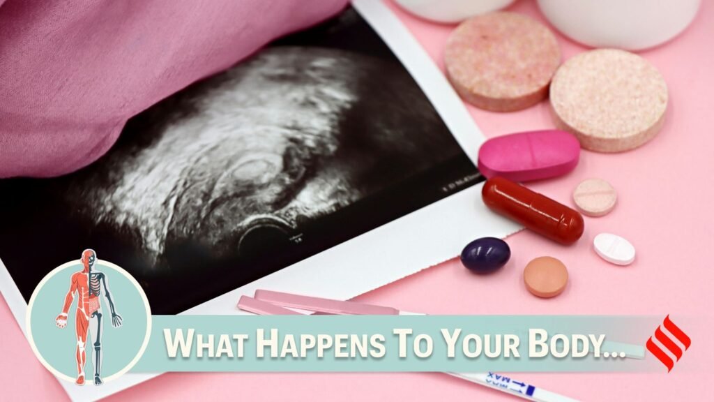 When do ovulation and periods return after stopping fertility treatment?