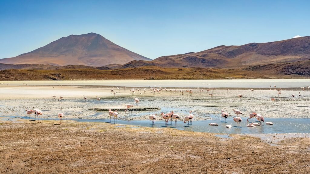 The Best Places to Visit in November for New Hotels, Nice Weather, and Great Eats
