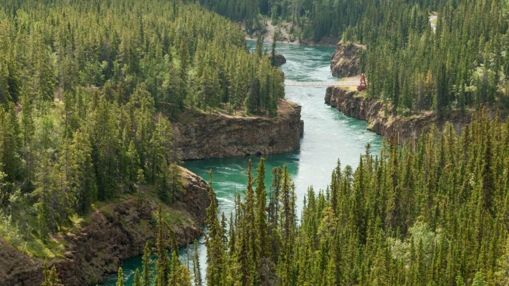 15 Best Places to Visit in Canada for First Nations History, Quebecois Cuisine, and Dinosaur Bones