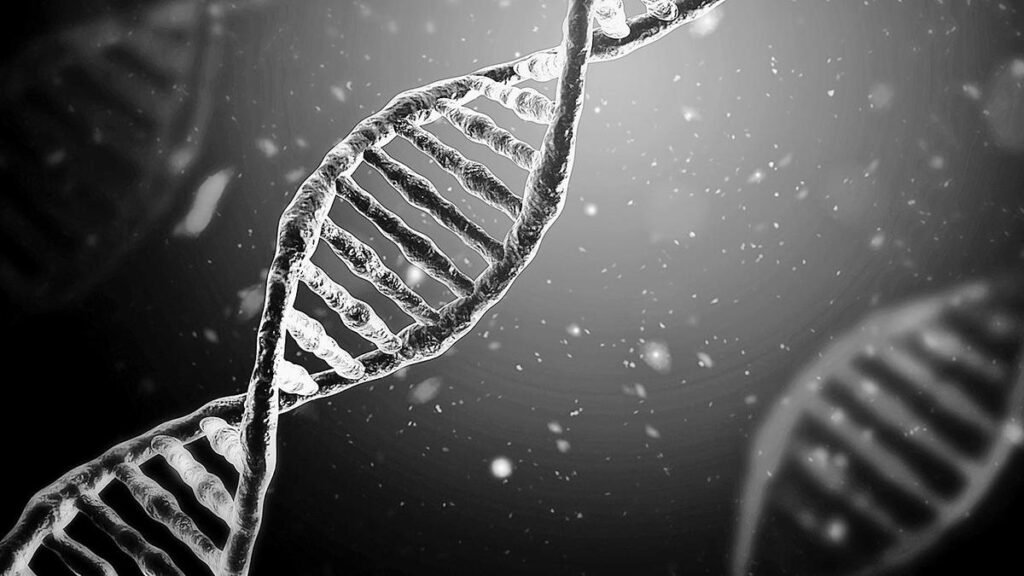 Study shows AI can design bacteriophages with potential to overcome bacterial resistance