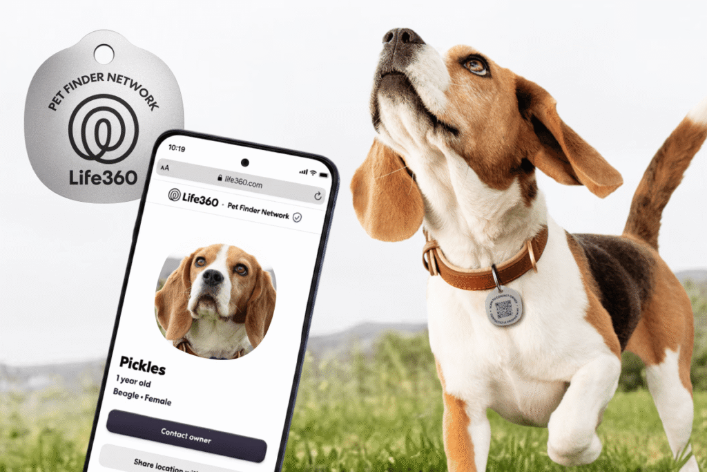 Life360 expands pet tracking with new $8 scannable tags and zoomie alerts