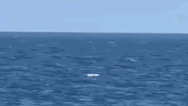 Ukraine drone attack on Novorossiysk disrupts Russian grain exports