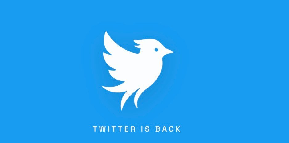 Hold up, there’s a new Twitter in town